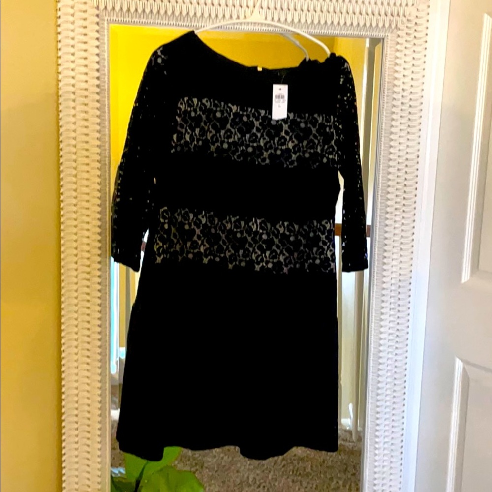 Ann Taylor Lace Dress